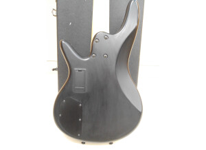 Ibanez GWB35 (23586)