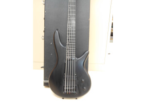 Ibanez GWB35 (35165)