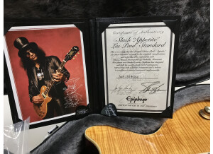 Epiphone Slash Appetite Les Paul Standard (87824)