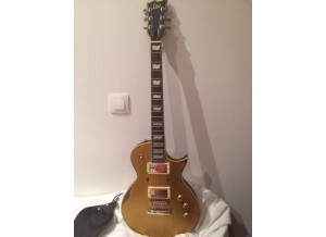 LTD EC-256 - Aged Vintage Gold (34764)