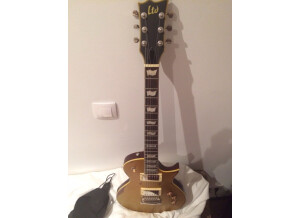 LTD EC-256 - Aged Vintage Gold (83565)