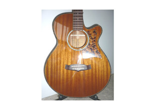 Tanglewood TW47 E (69048)