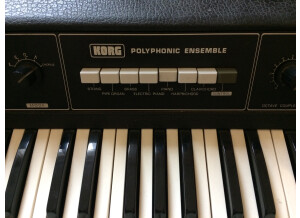 Korg Pe-1000 (53539)