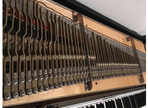 Fender Rhodes Mark I Stage Piano (21654)