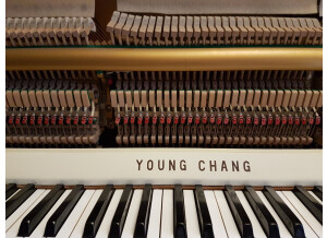 Young Chang U118 (68356)