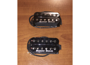 Seymour Duncan Black Winter (48660)