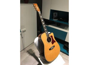 Tanglewood TW1000 H SRC E (70962)