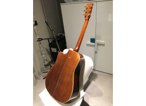 Tanglewood TW1000 H SRC E (45367)