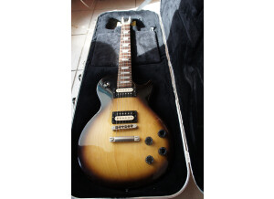 Gibson LPM 2015 (73383)