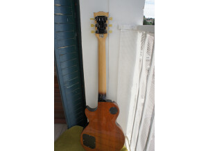 Gibson LPM 2015 (82409)