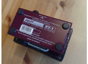 Amt Electronics RY-1 Reverberry (9707)