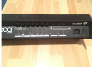 Moog Music SlimPhatty (37534)