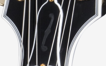 Gibson ES-355 Vintage Ebony Bigsby VOS : ES5516EBBG1 PLASTICS PANEL 02
