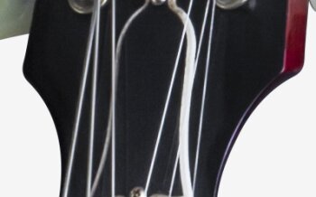 Gibson 1963 ES-335TDC : ES6316SCNB1 PLASTICS PANEL 02 Gibson 1963 ES-335TDC : ES6316SCNB1 PLASTICS PANEL 02