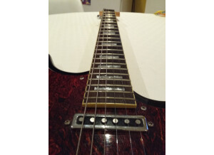 Schecter manche