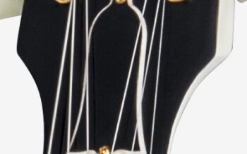 Gibson 1964 ES-345 Classic White VOS : ES456416CWGH1 PLASTICS PANEL 02 Gibson 1964 ES-345 Classic White VOS : ES456416CWGH1 PLASTICS PANEL 02