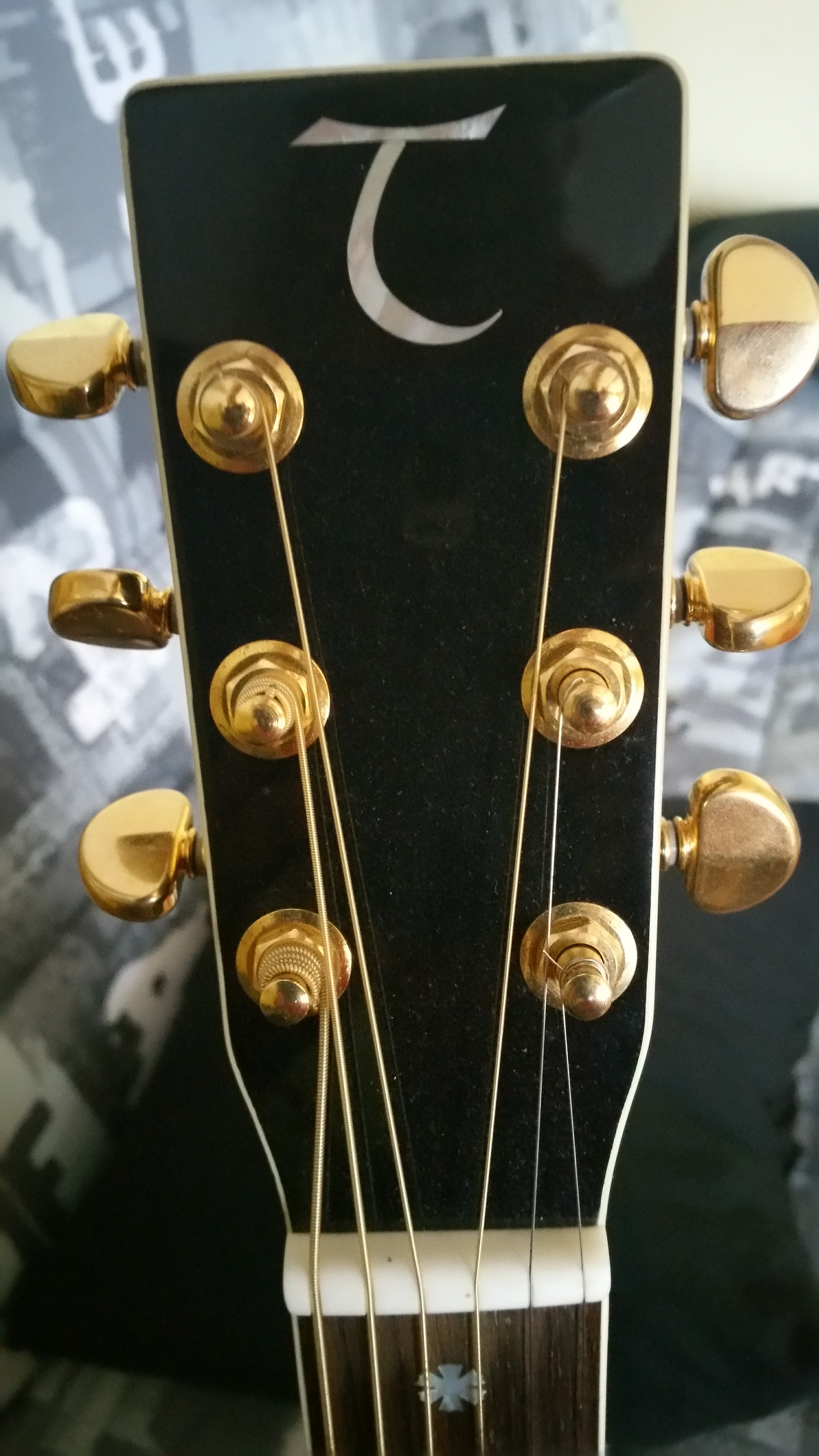 Tanglewood TW49 BK DLX B