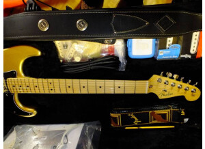 Fender American Standard Stratocaster [2012-Current] (27783)