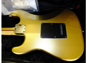 Fender American Standard Stratocaster [2012-Current] (56645)