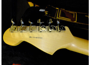 Fender American Standard Stratocaster [2012-Current] (50540)