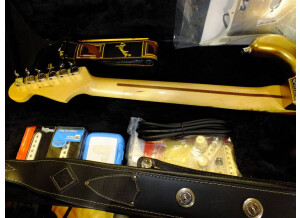 Fender American Standard Stratocaster [2012-Current] (24789)