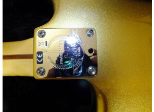 Fender American Standard Stratocaster [2012-Current] (35150)