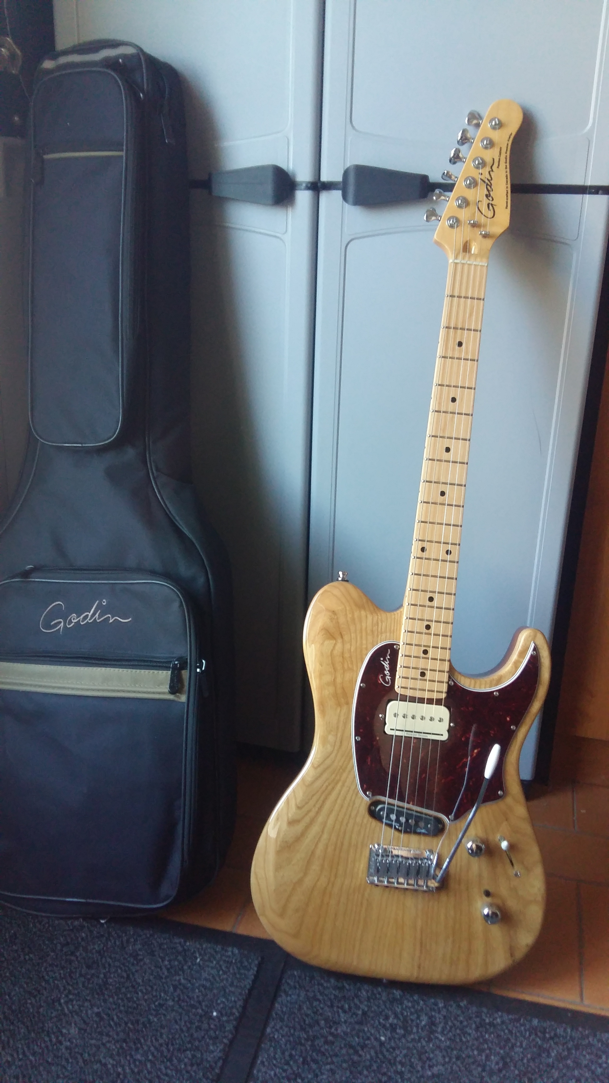 Godin Passion Custom