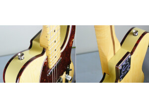Fender Tele-Bration Lamboo Telecaster (12226)