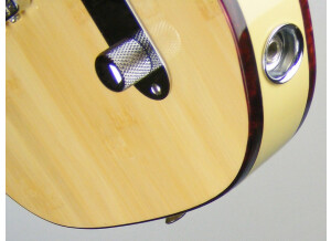 Fender Tele-Bration Lamboo Telecaster (54033)
