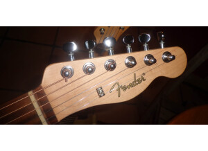 Fender Standard Telecoustic Paisley (9993)