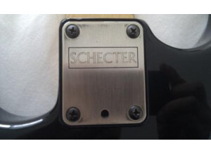 Schecter Stratocaster