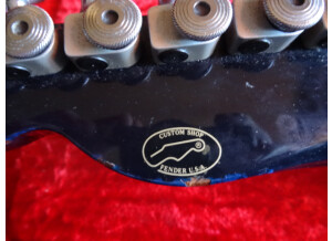 Fender Télécaster Custom Shop USA Set Neck Di Marzio Double bobinage Vibrato (25)