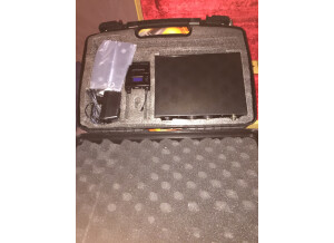 The T.bone IEM 100 (31205)