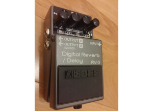 Boss RV-3 Digital Reverb/Delay (7480)