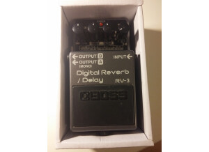 Boss RV-3 Digital Reverb/Delay (71561)