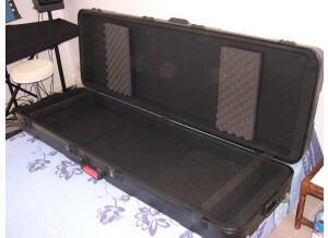 Gator Cases GKPE-88-TSA (84612)