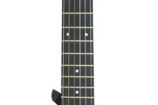 Steinberger Synapse Transcale