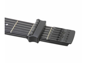 Steinberger Synapse Transcale 2FPA le capo