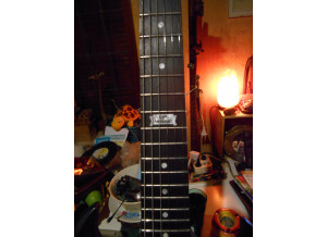 Gibson SGM 2014 - Vintage Sunburst Perimeter Satin (61697)