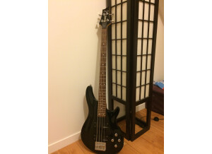 Schecter Omen-4 (26730)