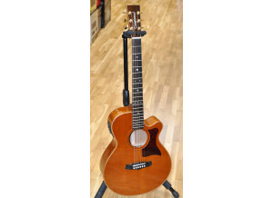Tanglewood TW 45HE 01