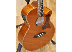 Tanglewood TW 45HE 03