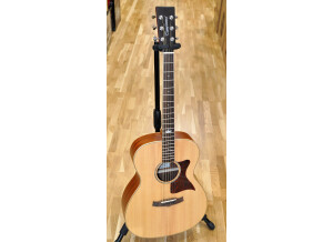 Tanglewood TW 170SS 01