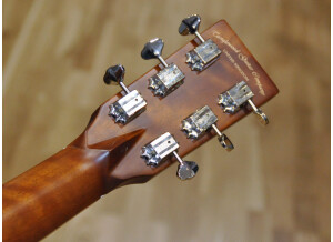 Tanglewood TW 170SS 06