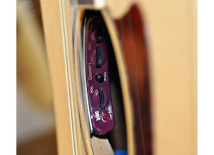 Tanglewood TW115SSCE 04