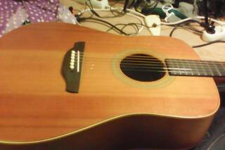 Takamine G330
