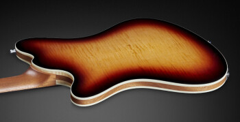 Framus Television Humbucker : 1186AX6514CPMFSM2Z 04 Framus Television Humbucker : 1186AX6514CPMFSM2Z 04