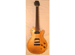 Gibson Les Paul BFG (43045)