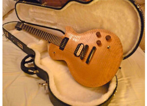 Gibson Les Paul BFG (26491)