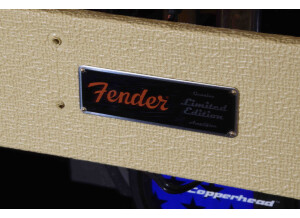Fender '65 Princeton Reverb [2008-Current] (17510)